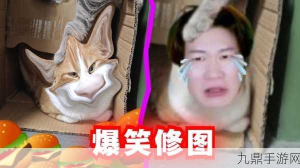 搞笑猫 3D，让你捧腹大笑的休闲闯关之旅