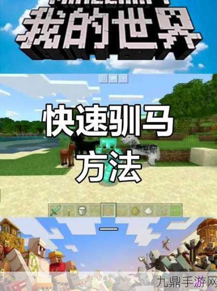 Minecraft 我的世界，驯服与骑行，驰骋沙盒世界的自由之旅