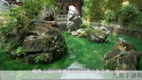 烟雨江湖奇遇记，白芍珍稀药材全图追踪秘籍