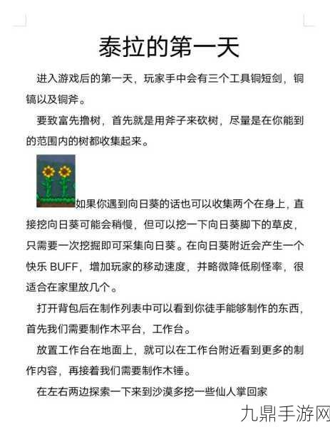 泰拉瑞亚，阻止神圣化与腐化扩散的全方位攻略