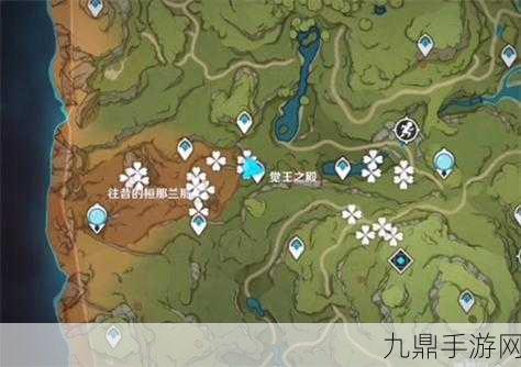 原神探索深境，星蕈珍稀位置全揭秘，采集之旅畅通无阻！