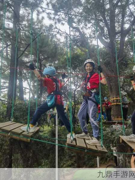 畅玩森林小会，开启魔性冒险之旅