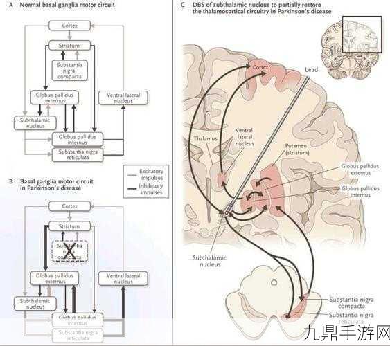 革新游戏体验，神经电路框架引领手游新纪元