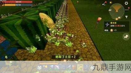 迷你世界南瓜种植全攻略，揭秘南瓜种植难题