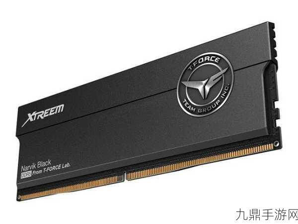 揭秘！十铨XTREEM玄境DDR5与炫光内存颗粒大起底